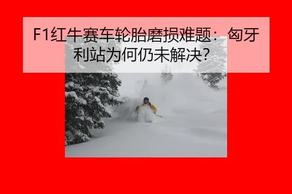 hong-niu-sai-che-lun-tai-mo-sun-nan-ti-xiong-ya-li-zhan-wei-he-reng-wei-jie-jue-3-123.jpg